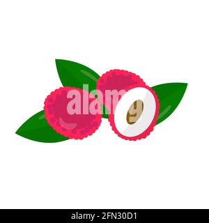 Lychee con foglie. Frutta su sfondo bianco. Icona del cibo dei cartoni animati. Illustrazione vettoriale di frutti tropicali. Illustrazione Vettoriale