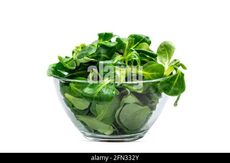 Foglie di insalata di fagioli Mung, insalata di mais in un recipiente di vetro, isolare. Miscela fresca di foglie verdi lavate (Valerianella locusta), ingredienti per insalata. Dieta e. Foto Stock