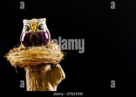 Primo piano di una figura di un gufo fortunato su un Tronco di legno. La fotografia ha un grande spazio per copiare il Desiderato text.Photo preso orizzontalmente su un blac Foto Stock