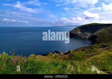 Downgate Cove sul South West Coast Path tra Port Quin e Port Isaac. Foto Stock