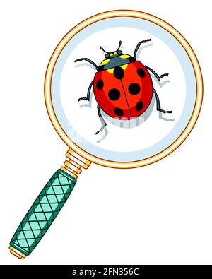 Lente d'ingrandimento e illustrazione ladybug Illustrazione Vettoriale