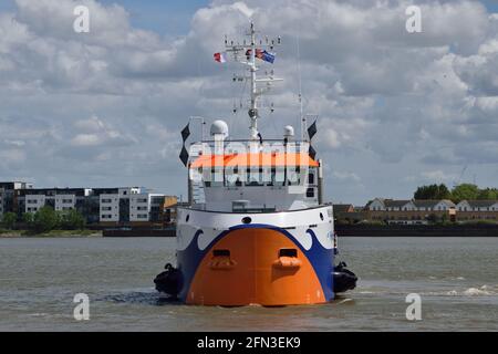 Ibrido alimentato acqua-iniezione draga Maas lavorando intorno al re George V Lock a Londra Foto Stock