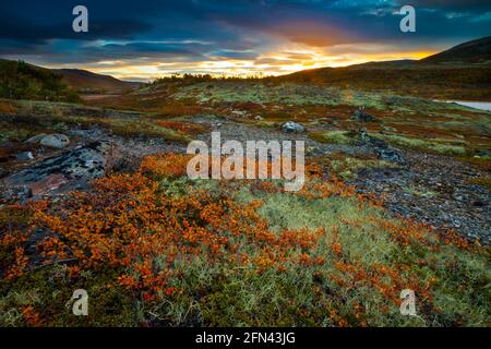Paesaggio montano con colori autunnali e suggestiva alba colorata vicino al lago Avsjøen a Dovrefjell, Dovre kommune, Norvegia, Scandinavia. Foto Stock