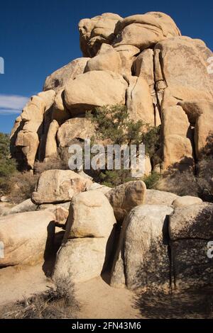 Paesaggio in valle nascosta a Joshua Tree National Park in California negli STATI UNITI D'AMERICA Foto Stock