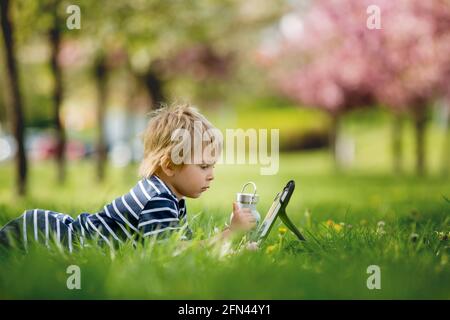 Bel bambino, biondo ragazzo, giocando sul tablet nel parco, bottiglia d'acqua accanto a lui Foto Stock