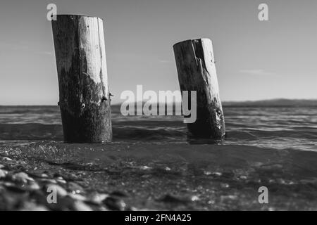 due pali di legno lavati dalle acque del lago con le montagne sullo sfondo in monocromia Foto Stock