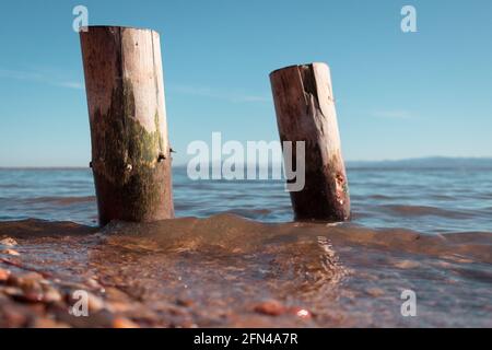 due pali di legno lavati dalle acque del lago con le montagne sullo sfondo Foto Stock