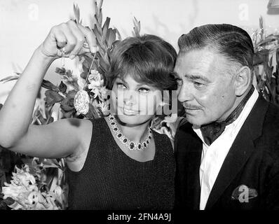 Gable, Clark, 1.2.1901 - 16.11.1960, attore americano, con Sophia Loren, 1960, INFORMAZIONI-DI-AUTORIZZAZIONE-DIRITTI-AGGIUNTIVI-NON-DISPONIBILI Foto Stock
