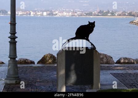 Un gatto nero è seduto su un bidone della spazzatura. Animali in un porto del Lago di Garda. Foto Stock