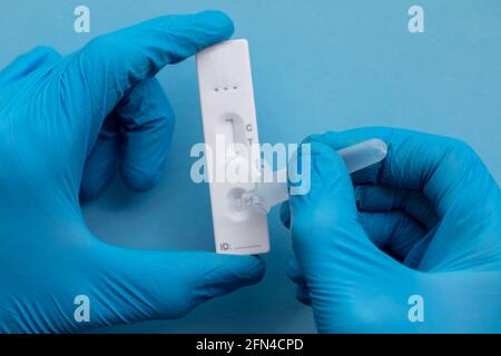 Primo piano di una persona che utilizza l'antigene rapido del coronavirus covid-19 kit di test a casa Foto Stock