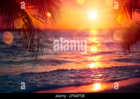 Tramonto offuscato sul mare con foglie di palma - Abstract defocused Estate Vacation background Foto Stock