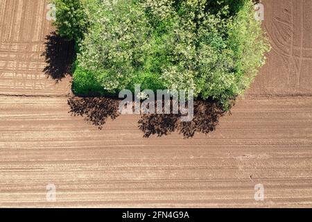 Campo agricolo è vista dalla parte superiore da un drone Foto Stock