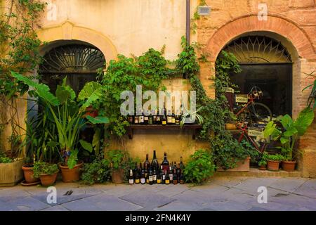 Buonconvento, Italia-3 settembre 2020. Un'esposizione di bottiglie di vino vuote di fronte ad un bar ristorante nel centro storico borgo medievale di Buonconvento Foto Stock