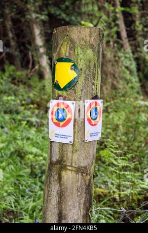 Wales Coast Path indicazioni su paletto di muschio per la via altenativa marea sull'isola di Anglesey percorso costiero attraverso la foresta di Pentraeth. Anglesey, Galles, Regno Unito Foto Stock