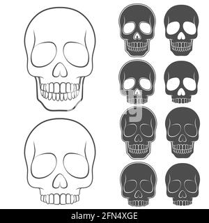 Set vettoriale di teschi. Oggetti isolati su bianco. Illustrazione Vettoriale