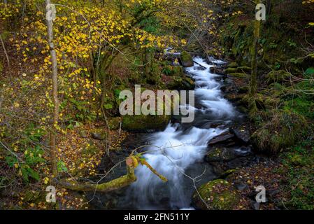 Fiume Toran e cascata Saut d'Arbaet, in autunno, nella Valle del Toran (Valle d'Aran, Catalogna, Spagna, Pirenei) ESP: Río de Toran y cascada en otoño Foto Stock