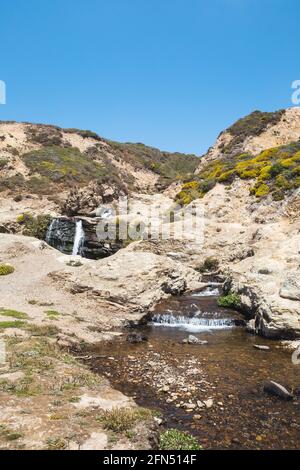 Bellissimo scatto di Alamere Creek in California Foto Stock