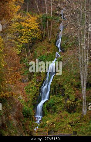 Fiume Toran e cascata Saut d'Arbaet, in autunno, nella Valle del Toran (Valle d'Aran, Catalogna, Spagna, Pirenei) ESP: Río de Toran y cascada en otoño Foto Stock