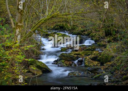 Fiume Toran e cascata Saut d'Arbaet, in autunno, nella Valle del Toran (Valle d'Aran, Catalogna, Spagna, Pirenei) ESP: Río de Toran y cascada en otoño Foto Stock