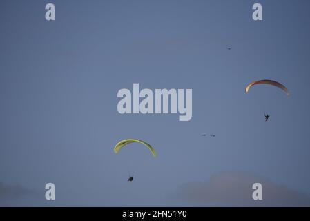 Parapendio aereo competitivo a San Diego, California USA. Foto Stock