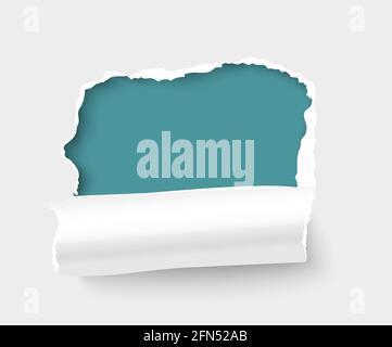 Foro con bordi strappati e lato arrotolato in foglio di carta bianca immagine vettoriale realistica con copyspace. Banner pubblicitario o elemento di progettazione poster. Illustrazione Vettoriale