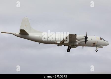 RAF LOSSIEMOUTH, SCOZIA, 13 MAGGIO 2021: Un aereo tedesco di pattuglia marina Lockheed P-3 Orion atterra durante l'esercizio Joint Warrior a RAF Lossiemouth, Scozia, giovedì 13 maggio 2021. (Credit: Robert Smith | MI News ) Foto Stock