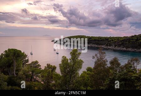 barche a vela in acqua durante il tramonto spettacolare alla baia di Fetovaia, Isola d'Elba, Toscana, Italia Foto Stock