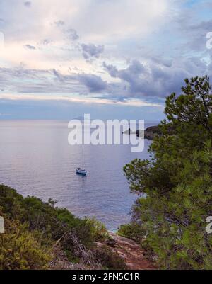 barca a vela in acqua nella baia serale di Fetovaia, Isola d'Elba, Toscana, Italia Foto Stock