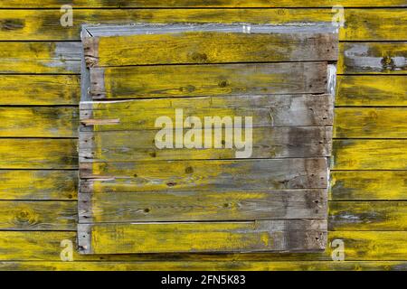 legno tessitura bordo sfondo giallo grigio argento colore closeup Foto Stock