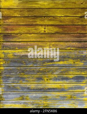 legno tessitura bordo sfondo giallo grigio argento colore closeup Foto Stock