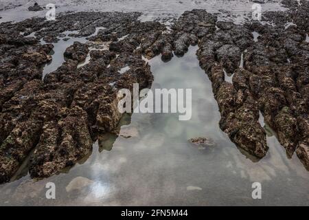 Le scogliere di gesso e sotto-scogliera tra Peacehaven e Newhaven in Sussex orientale, Regno Unito Foto Stock