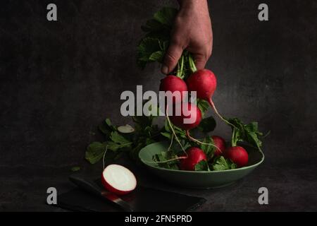 la mano di un uomo tiene un mazzo di ravanelli freschi Foto Stock