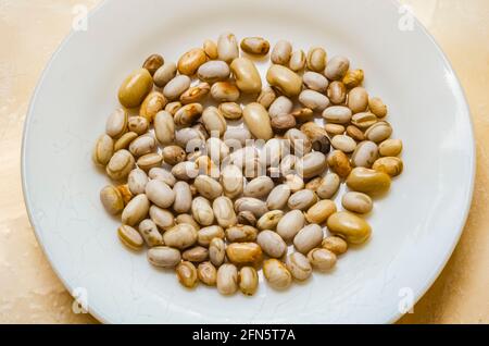 Piselli Pisum sativum (piselli divisi) in piastra bianca piccola. Foto Stock