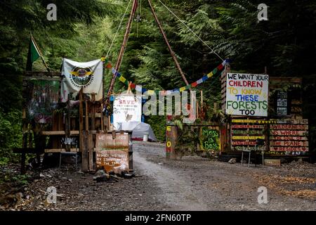 PORT RENFREW, CANADA - 11 maggio 2021: Fairy Creek Blocakade, Port Renfrew, Vancouver Island, BC Canada Foto Stock