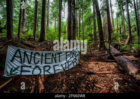 PORT RENFREW, CANADA - 11 maggio 2021: Fairy Creek Blocakade, Port Renfrew, Vancouver Island, BC Canada Foto Stock