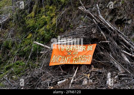 PORT RENFREW, CANADA - 11 maggio 2021: Fairy Creek Blocakade, Port Renfrew, Vancouver Island, BC Canada Foto Stock