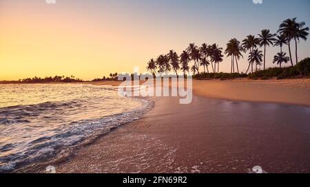 Vista panoramica di una spiaggia tropicale al tramonto. Foto Stock