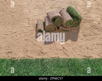 Erba erbosa rotoli o zolla su una base di sabbia, closeup Foto Stock