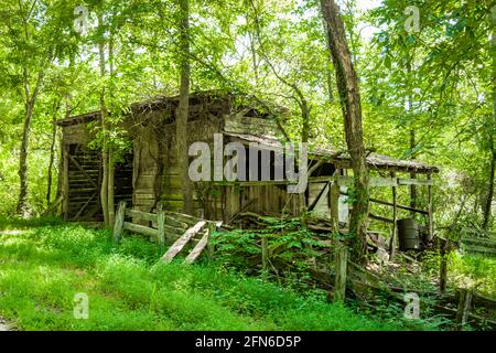 Georgia on My Mind - Union County Farmers Market - Homestead Barn e Corral Foto Stock