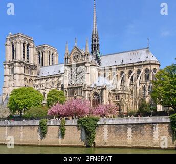 Francia, Parigi, zona dichiarata Patrimonio Mondiale dall'UNESCO, Ile de la Cite, Cattedrale di Notre Dame in primavera Foto Stock