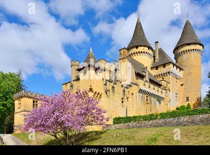 Francia, Dordogna, Perigord Noir, Valle della Dordogna, Marquay, castello di Puymartin, ricostruito dopo la guerra dei cent'anni Foto Stock