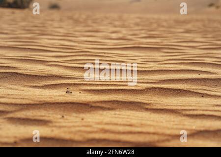 Texture di sabbia ondulata nel deserto di Dubai da vicino Foto Stock
