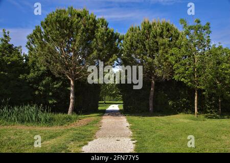 Percorso che conduce ad uno spazio aperto in un parco nella campagna italiana Foto Stock