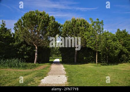 Percorso che conduce ad uno spazio aperto in un parco nella campagna italiana Foto Stock