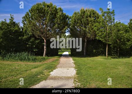 Percorso che conduce ad uno spazio aperto in un parco nella campagna italiana Foto Stock