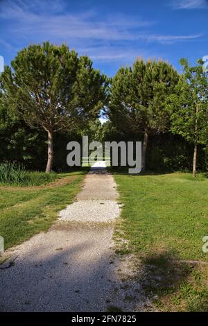 Percorso che conduce ad uno spazio aperto in un parco nella campagna italiana Foto Stock