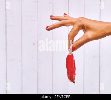 Peperoncino rosso caldo peruviano Aji Limo, ingredienti peruviani, sole essiccato tutto il peperoncino rosso caldo tenuto in mano da caucasico maschio mano studio girato isolato o Foto Stock