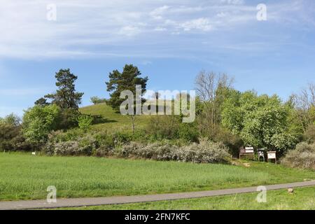 La piccola collina di Rummelsberg vicino all'Eco-Village Brodowin nel mese di maggio Foto Stock