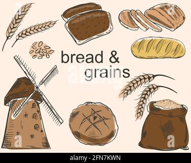 Un set di pane e cereali. Schizzi vettoriali di vari tipi di pane, cereali e un mulino. Agricoltura, coltivazione e produzione di prodotti da forno. Foo leggero Illustrazione Vettoriale