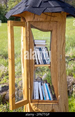 La biblioteca scolpita da un albero con libri per il pubblico in piedi su un prato, la Czechia. Foto Stock